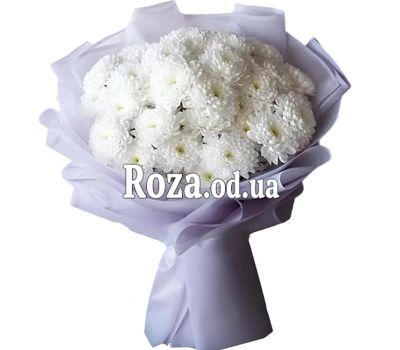 11 white chrysanthemums