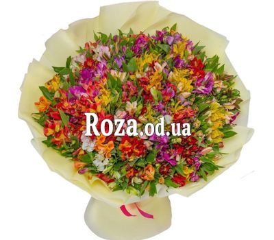 151 alstroemerias