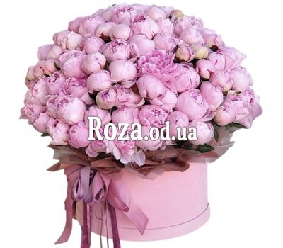 151 пион в коробке