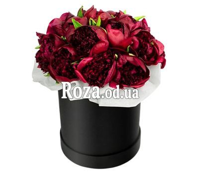 25 бордовых пионов в коробке