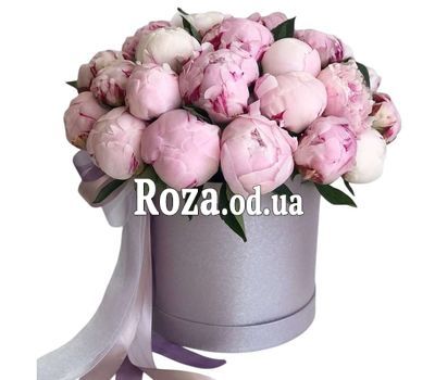 33 peonies in a box