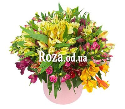 45 alstroemerias in a box