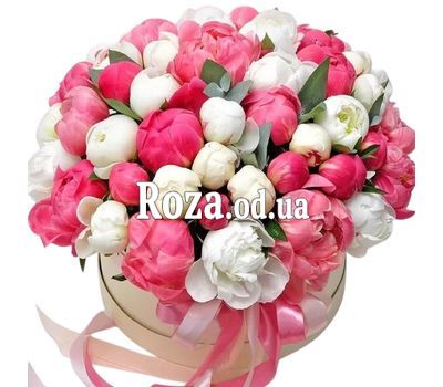 51 пион в коробке