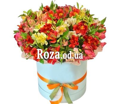 55 alstroemerias mix in a box