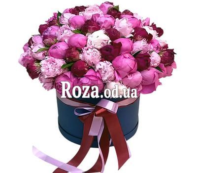 71 пион в коробке