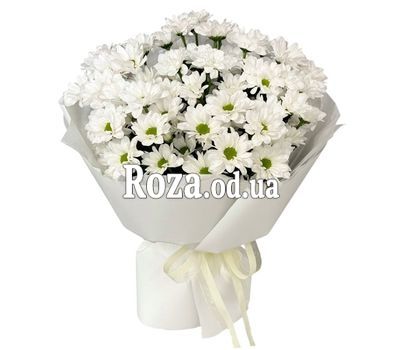9 ромашковых хризантем