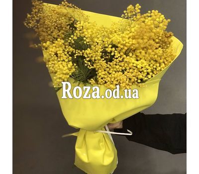 11 веток мимозы 2