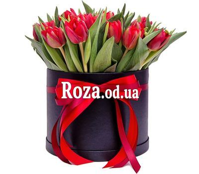 29 красных тюльпанов в коробке