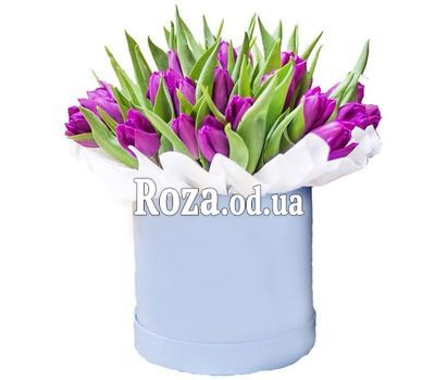 Фиолетовые тюльпаны в коробке
