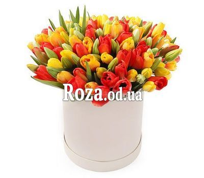 Разноцветные тюльпаны в коробке